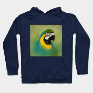 Macaw Hoodie